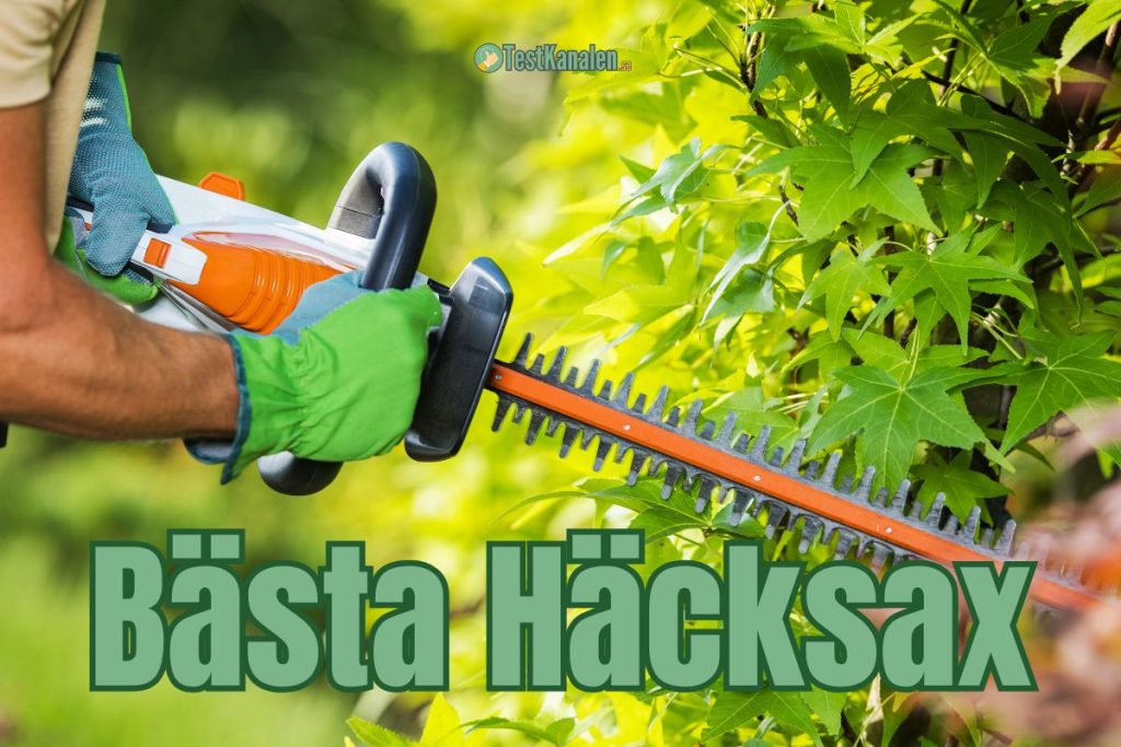 Bästa häcksax